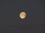 SX01281 Waning moon.jpg